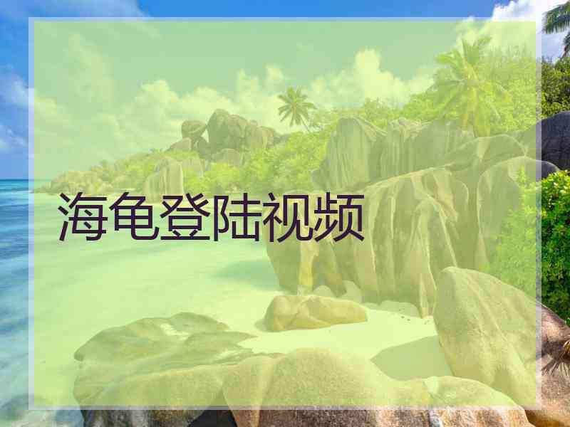 海龟登陆视频