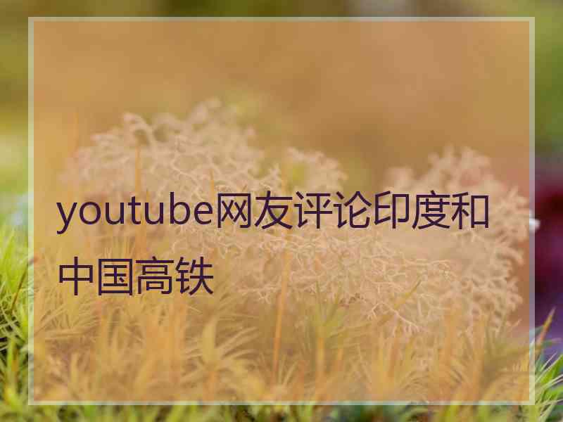 youtube网友评论印度和中国高铁