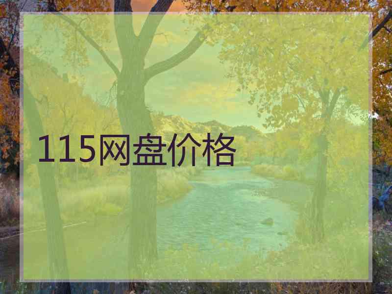 115网盘价格