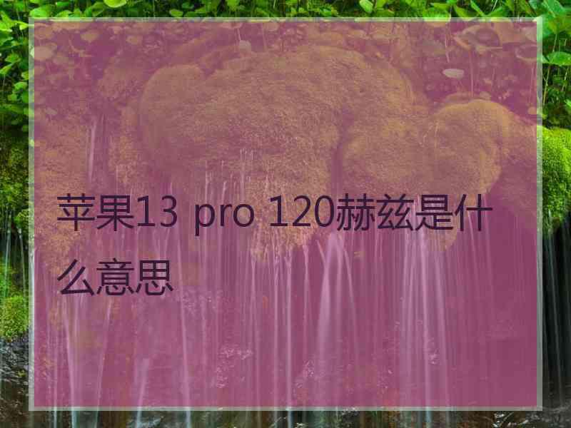 苹果13 pro 120赫兹是什么意思