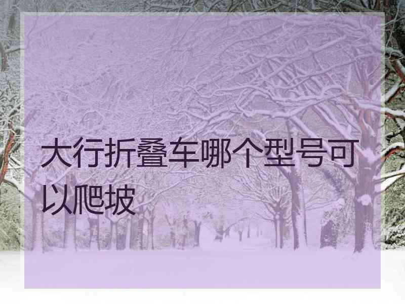 大行折叠车哪个型号可以爬坡