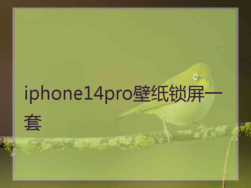 iphone14pro壁纸锁屏一套