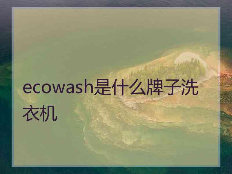 ecowash是什么牌子洗衣机