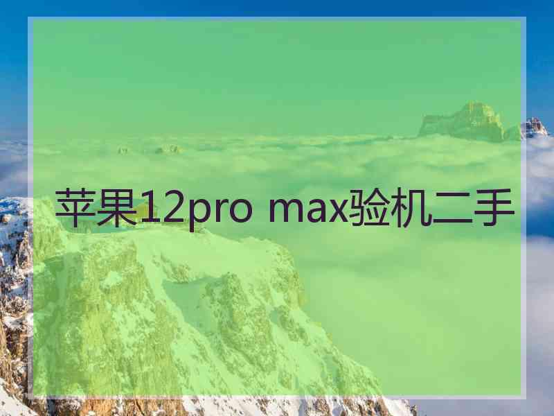 苹果12pro max验机二手