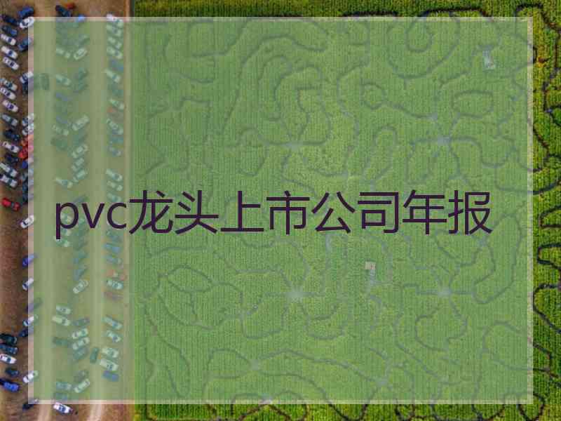 pvc龙头上市公司年报