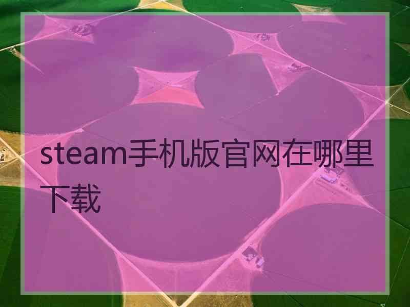 steam手机版官网在哪里下载