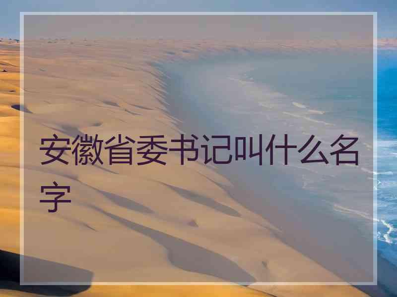 安徽省委书记叫什么名字