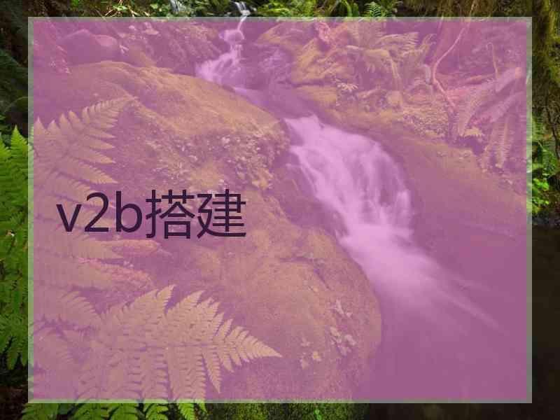 v2b搭建