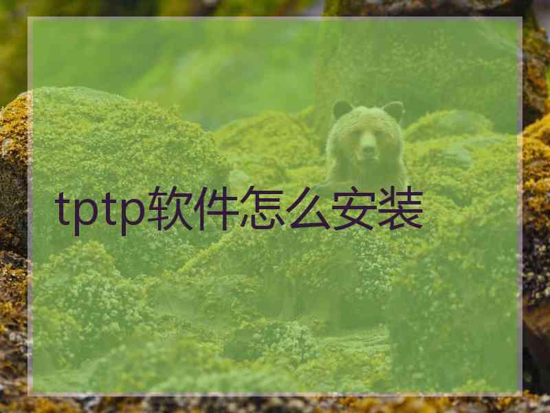 tptp软件怎么安装