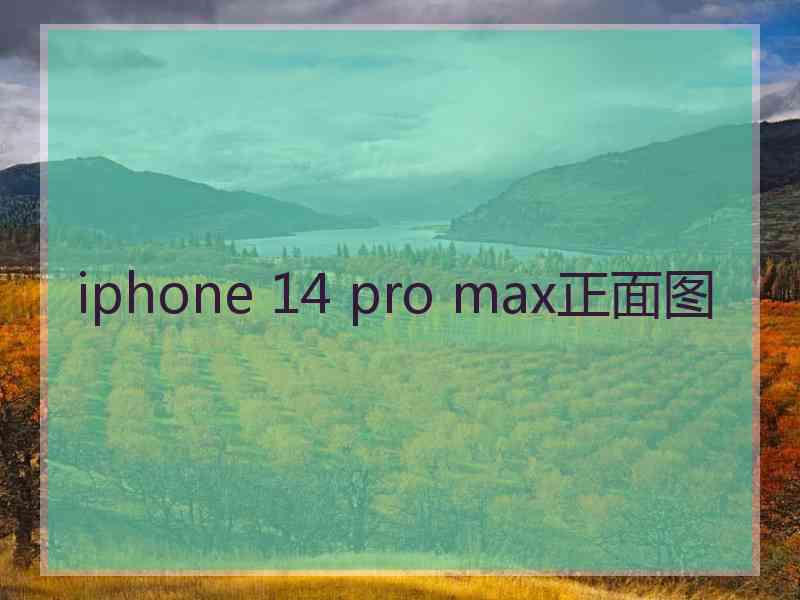 iphone 14 pro max正面图