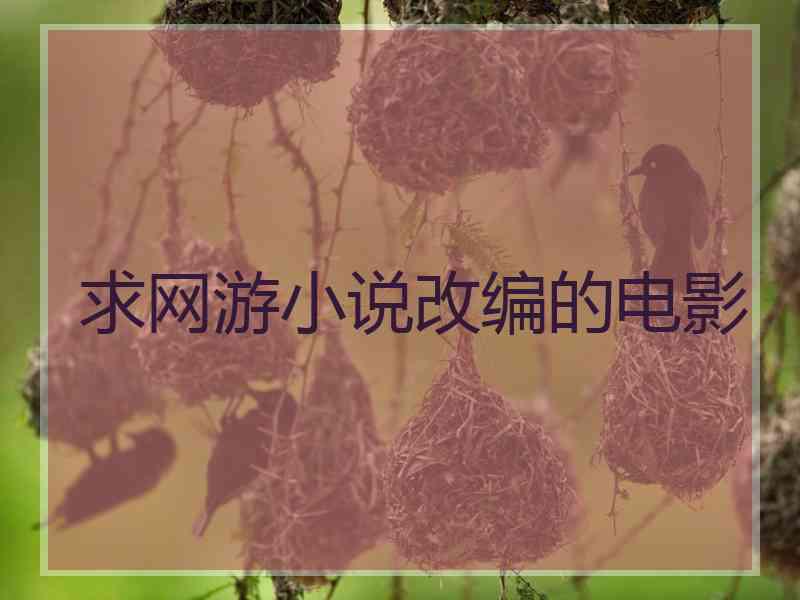 求网游小说改编的电影