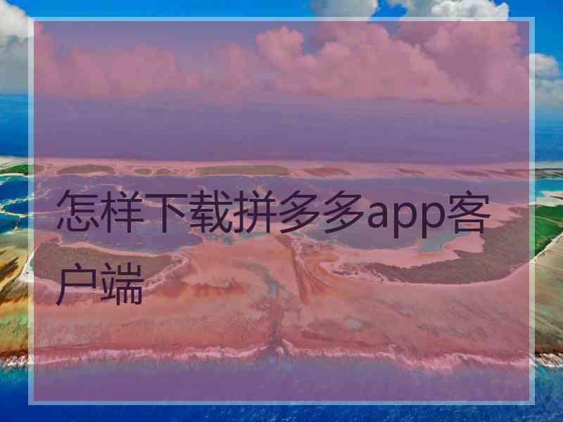 怎样下载拼多多app客户端