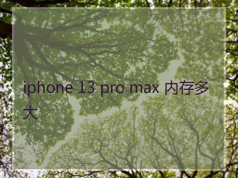 iphone 13 pro max 内存多大