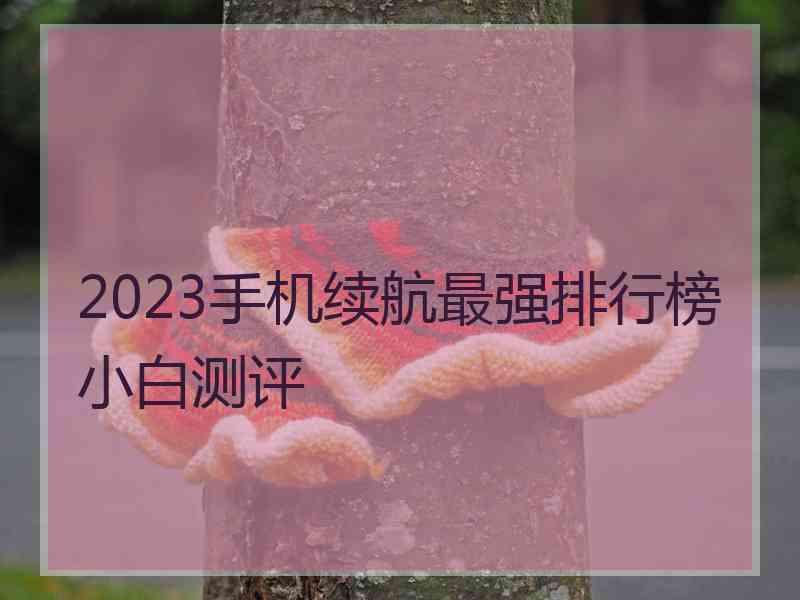 2023手机续航最强排行榜小白测评