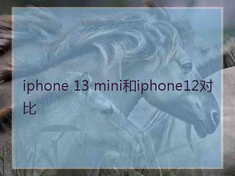 iphone 13 mini和iphone12对比