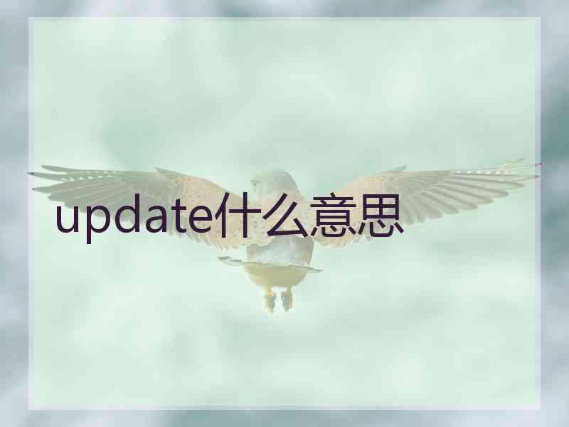 update什么意思