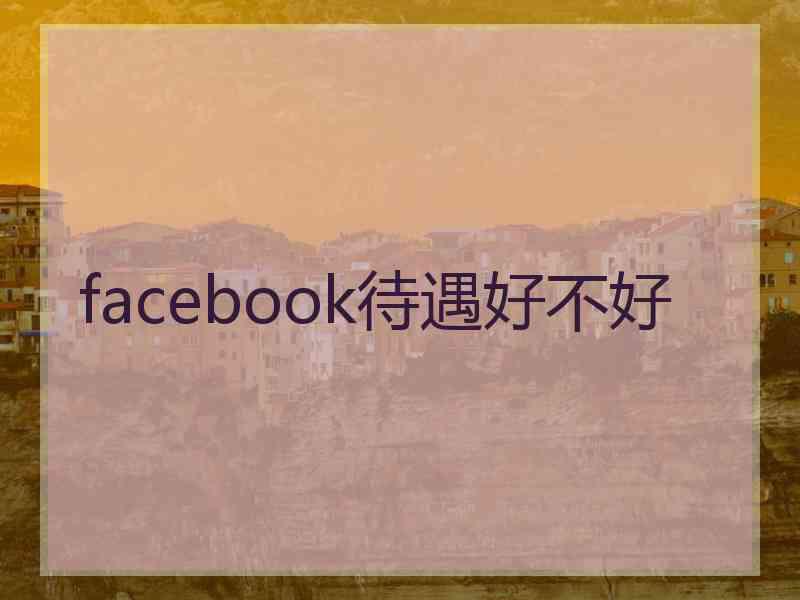 facebook待遇好不好