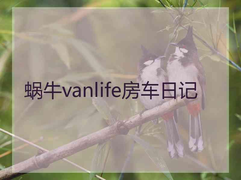 蜗牛vanlife房车日记