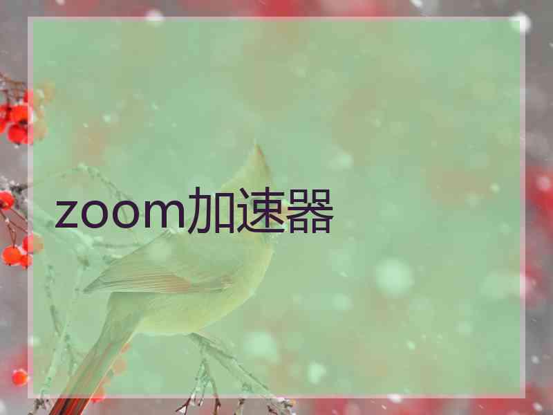 zoom加速器