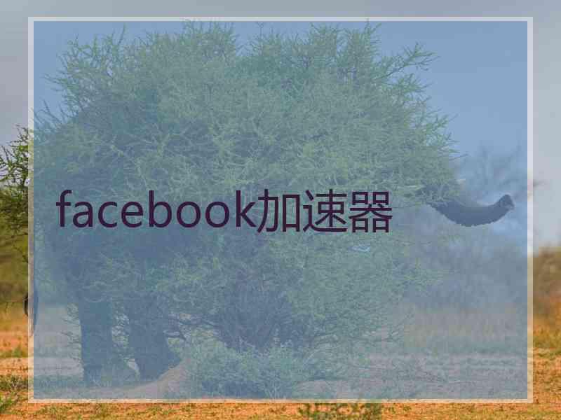 facebook加速器