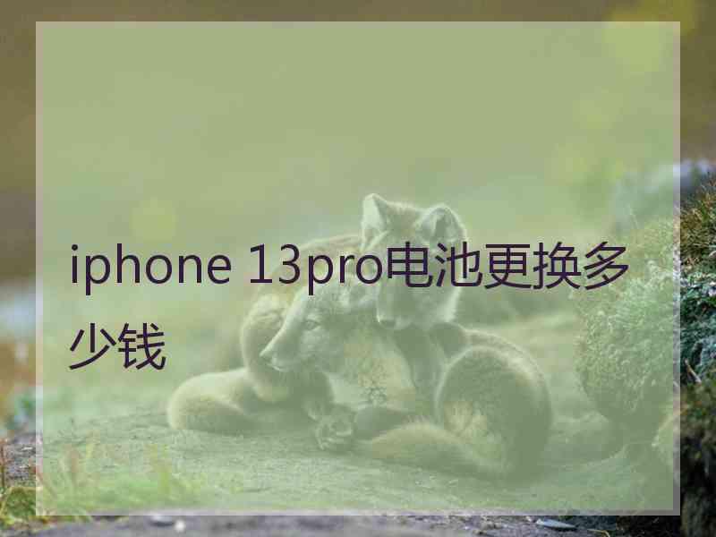 iphone 13pro电池更换多少钱