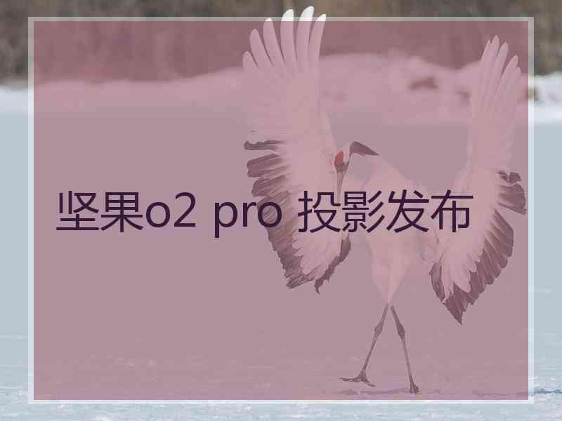 坚果o2 pro 投影发布