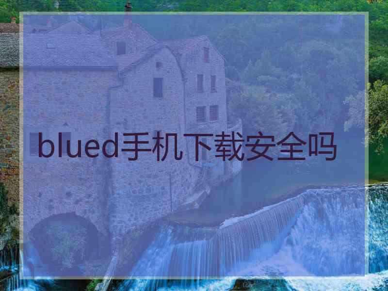 blued手机下载安全吗