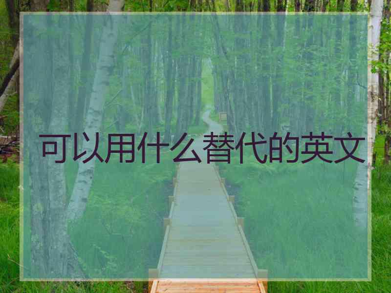 可以用什么替代的英文