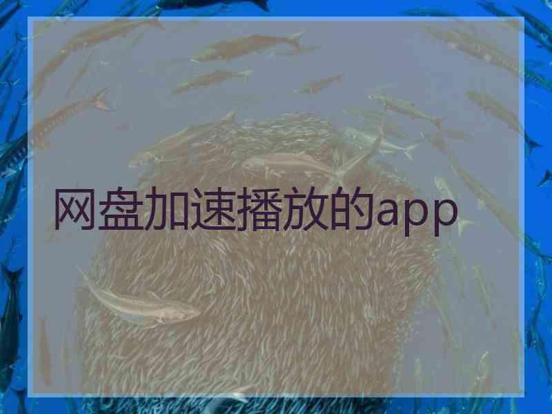 网盘加速播放的app