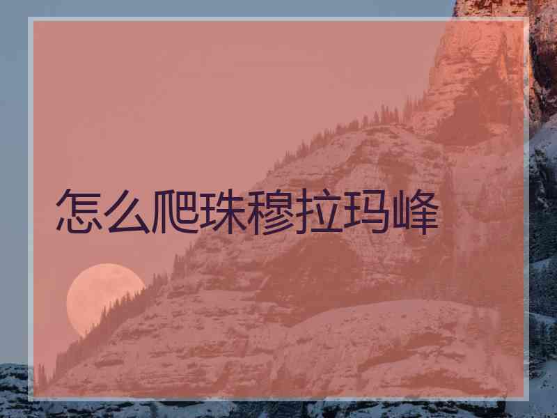 怎么爬珠穆拉玛峰