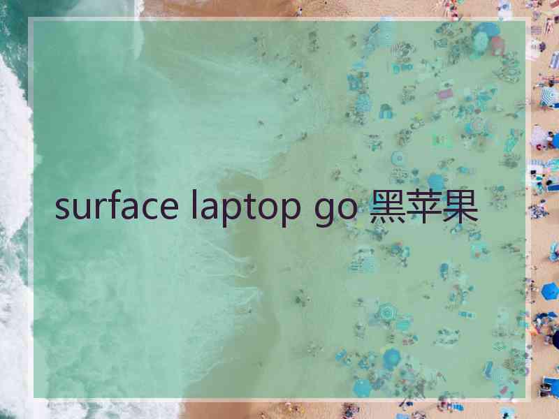 surface laptop go 黑苹果