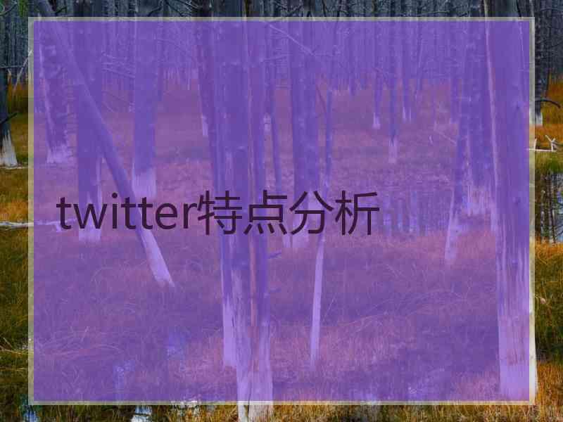 twitter特点分析