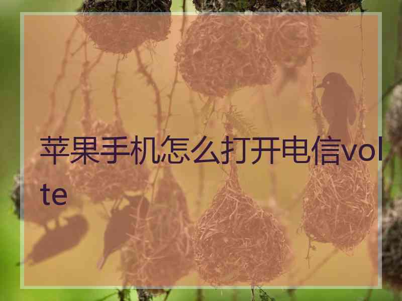 苹果手机怎么打开电信volte