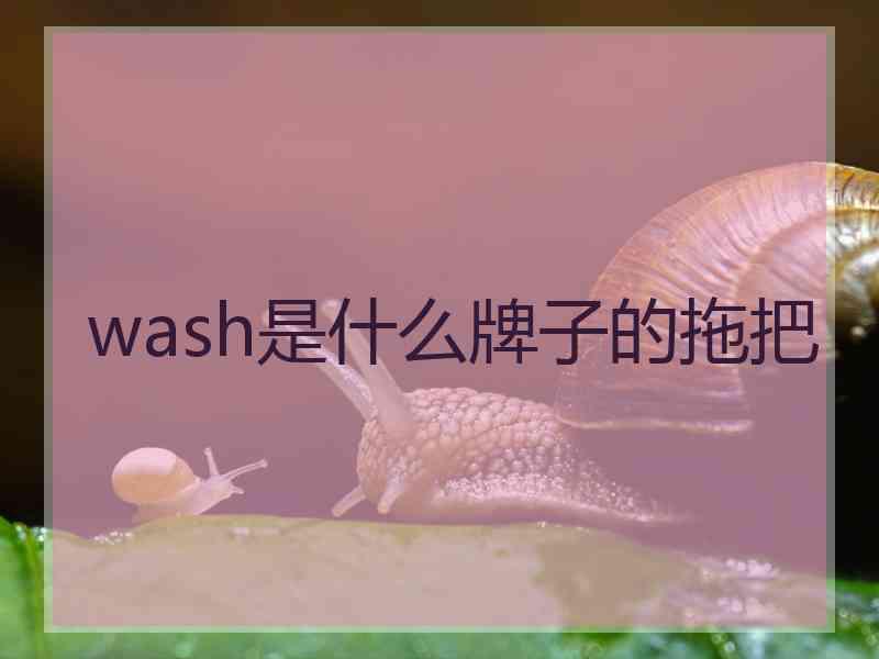 wash是什么牌子的拖把