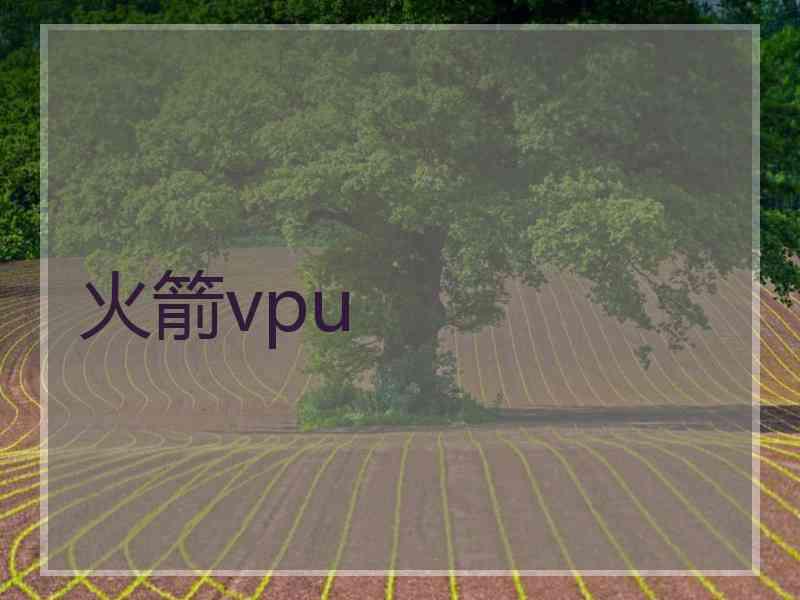 火箭vpu