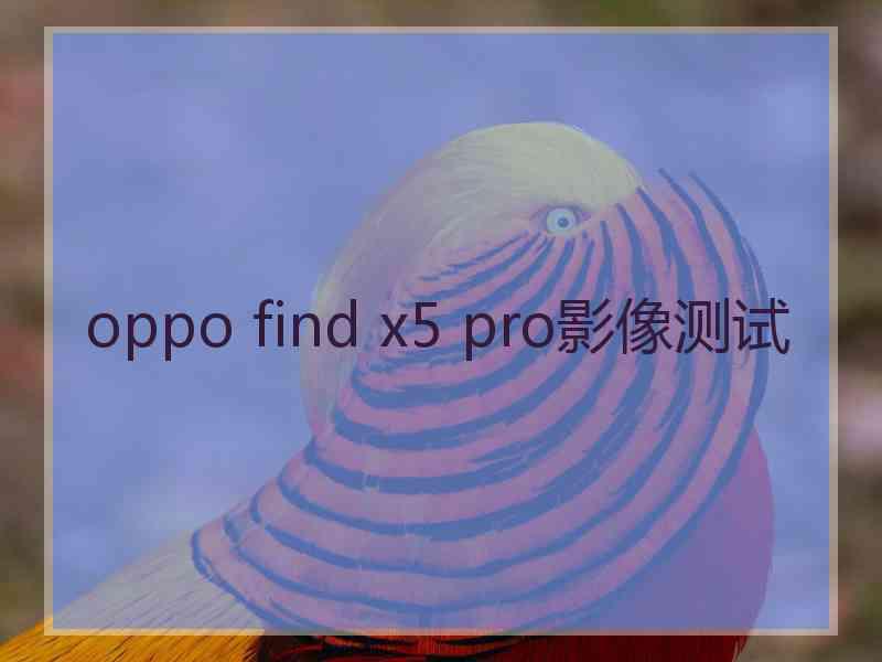 oppo find x5 pro影像测试