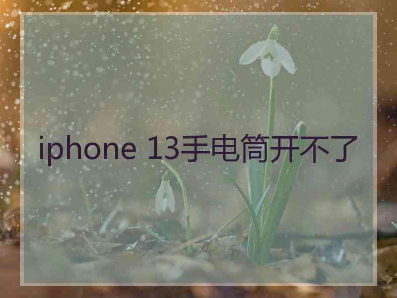 iphone 13手电筒开不了