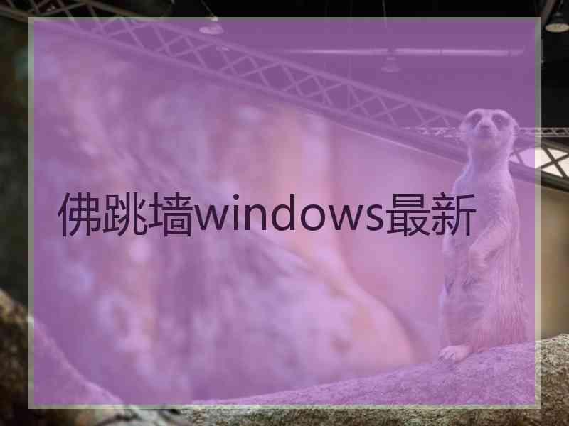 佛跳墙windows最新