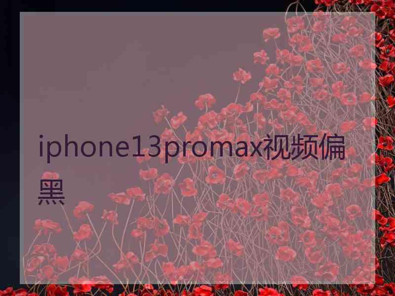 iphone13promax视频偏黑