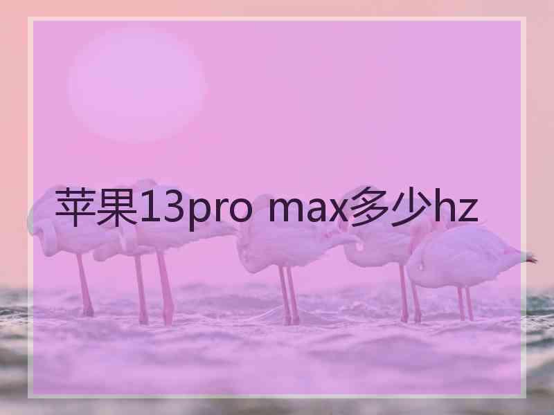 苹果13pro max多少hz