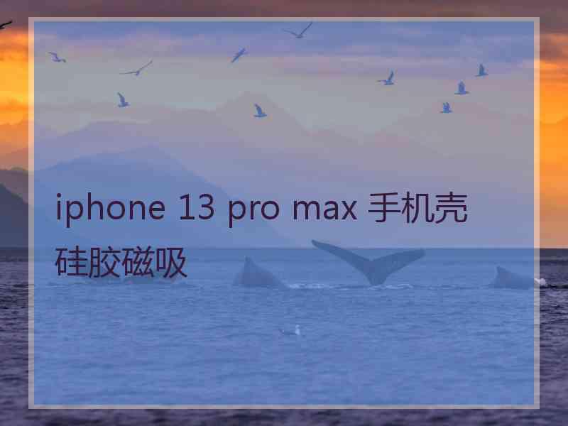 iphone 13 pro max 手机壳硅胶磁吸