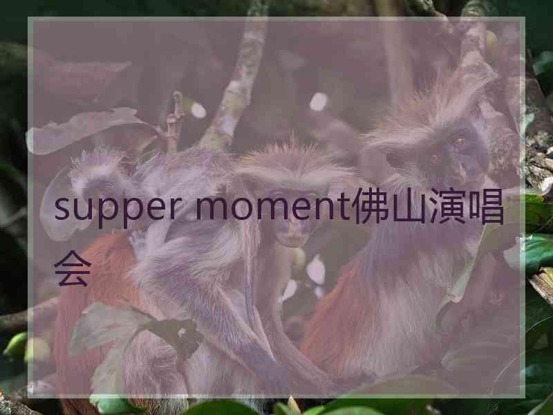 supper moment佛山演唱会