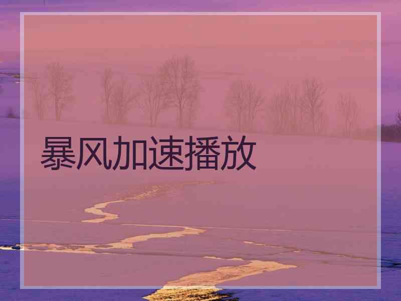 暴风加速播放