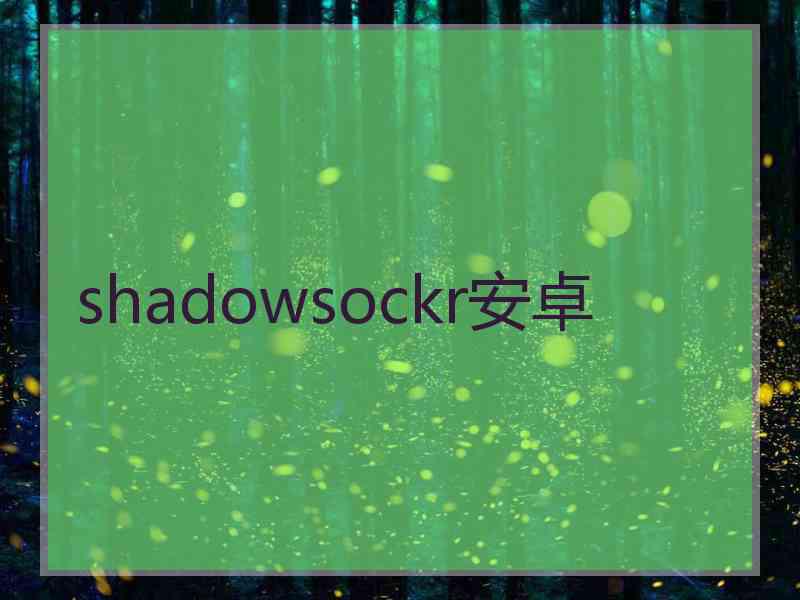 shadowsockr安卓