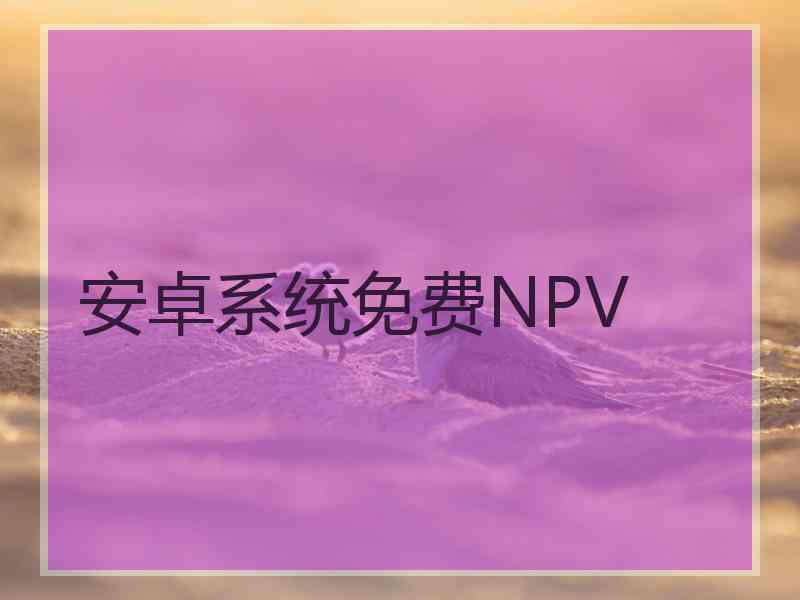 安卓系统免费NPV