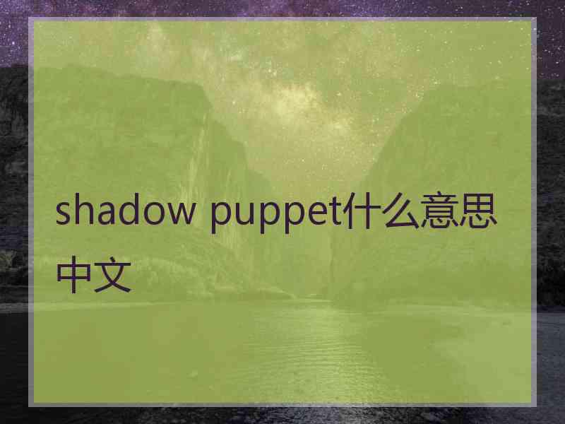 shadow puppet什么意思中文