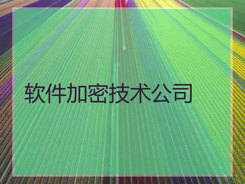 软件加密技术公司