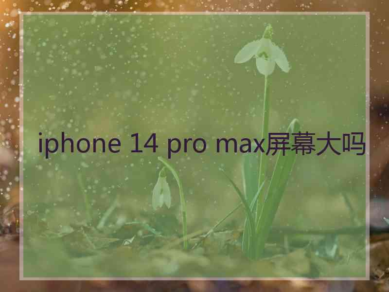 iphone 14 pro max屏幕大吗