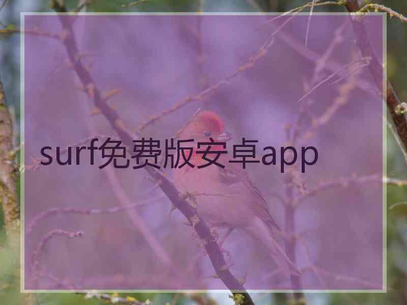 surf免费版安卓app