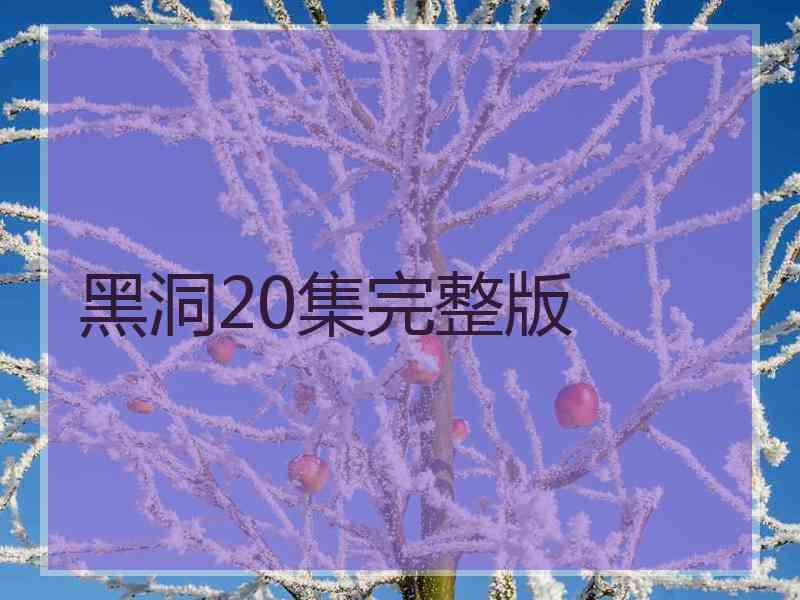 黑洞20集完整版